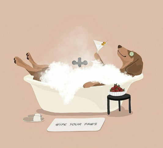 Grooming Without Stress: A Science-Based Guide to Keeping Your Pet (and Yourself) Calm