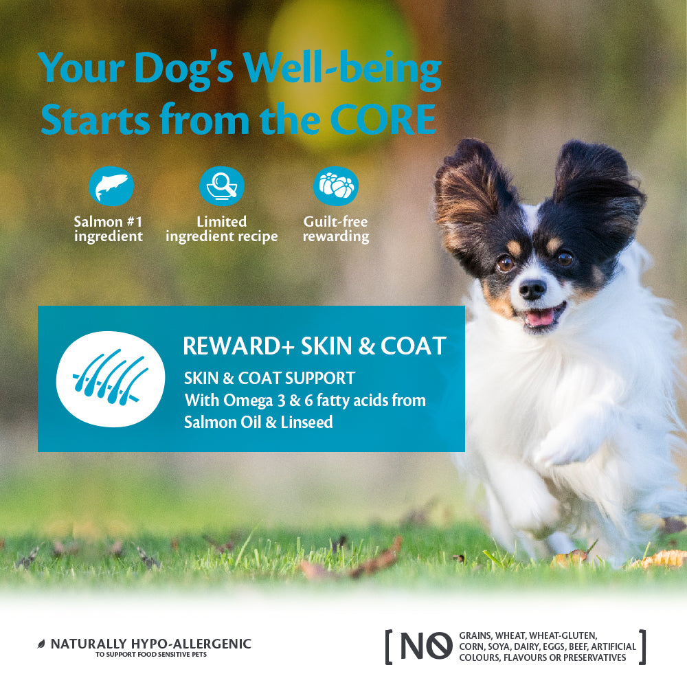 Wellness CORE reward+ skin&coat soft salmon treats 170gr