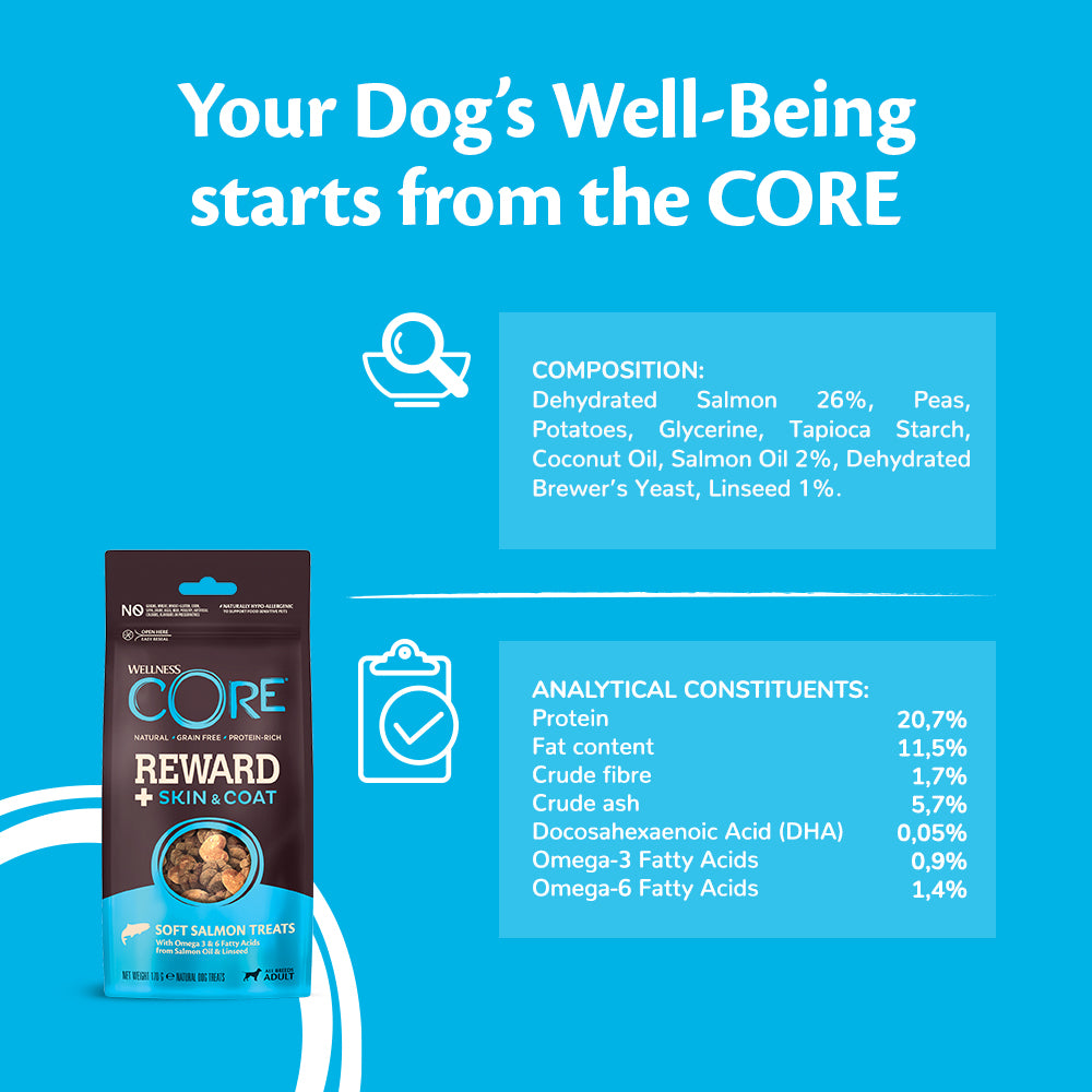 Wellness CORE reward+ skin&coat soft salmon treats 170gr