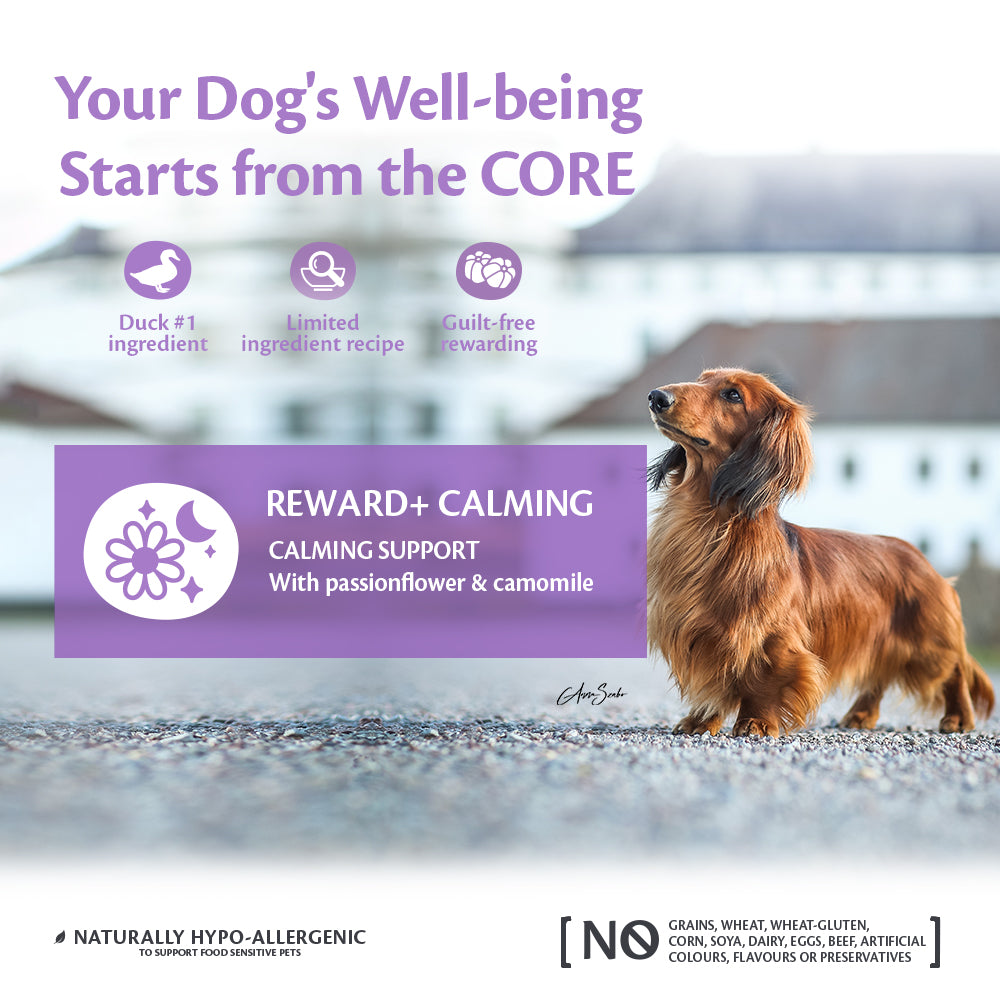 Wellness CORE reward+ calming soft duck treats 170gr