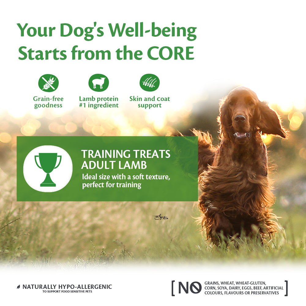 Wellness CORE training treats soft lamb&apple 170gr