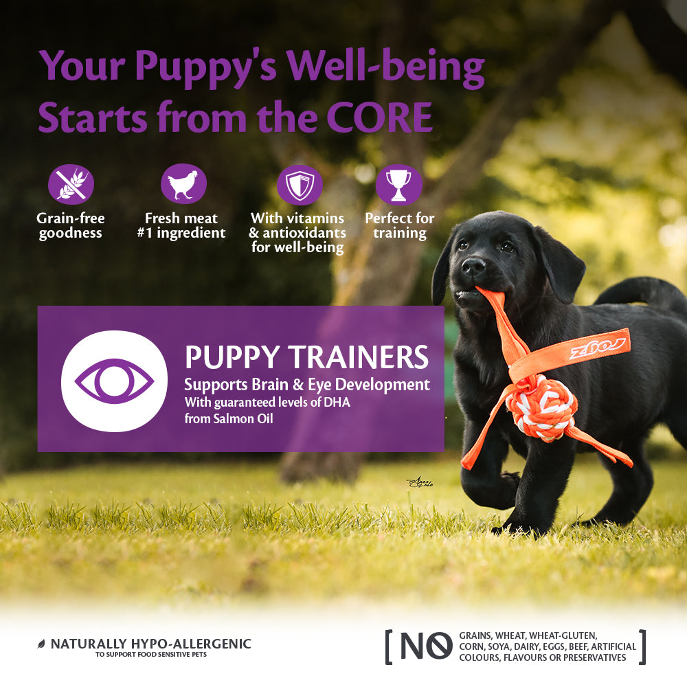 Wellness CORE puppy trainers chicken&carrots 170gr