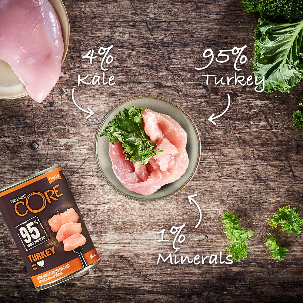 Wellness CORE can dog 95% single protein turkey 400gr
