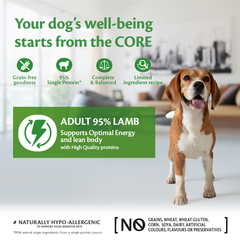 Wellness CORE can dog 95% single protein lamb 400gr