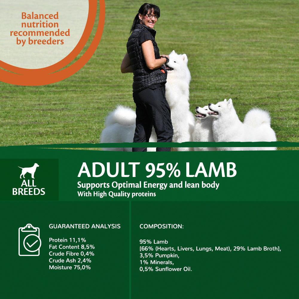 Wellness CORE can dog 95% single protein lamb 400gr