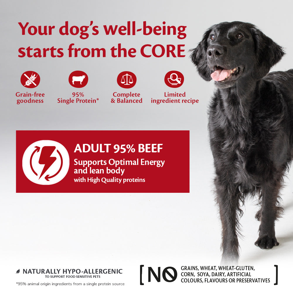 Wellness CORE can dog 95% single protein beef 400gr