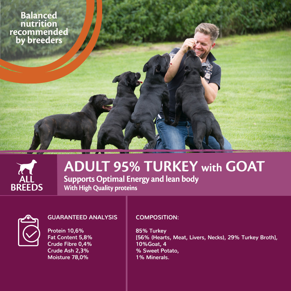 Wellness CORE can dog 95% duo protein turkey&goat 400gr
