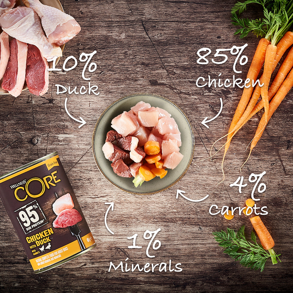 Wellness CORE can dog 95% duo protein chicken&duck 400gr