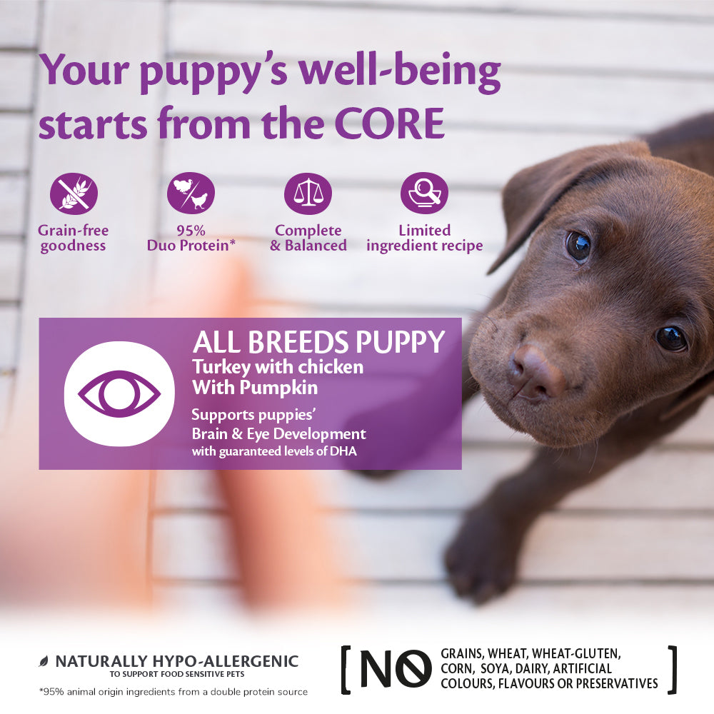 Wellness CORE can dog 95% puppy original 400gr