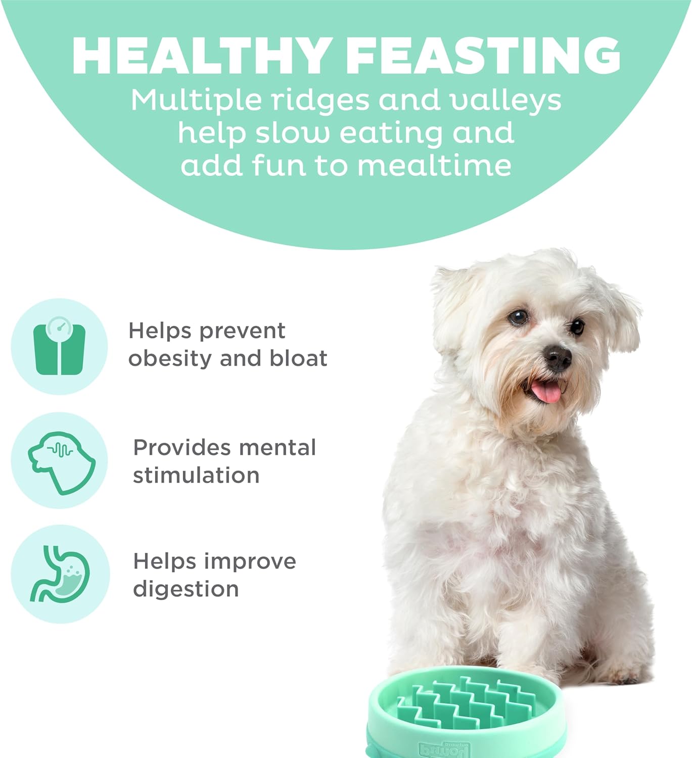 Outward Hound dog fun feeder wave mint small 1st