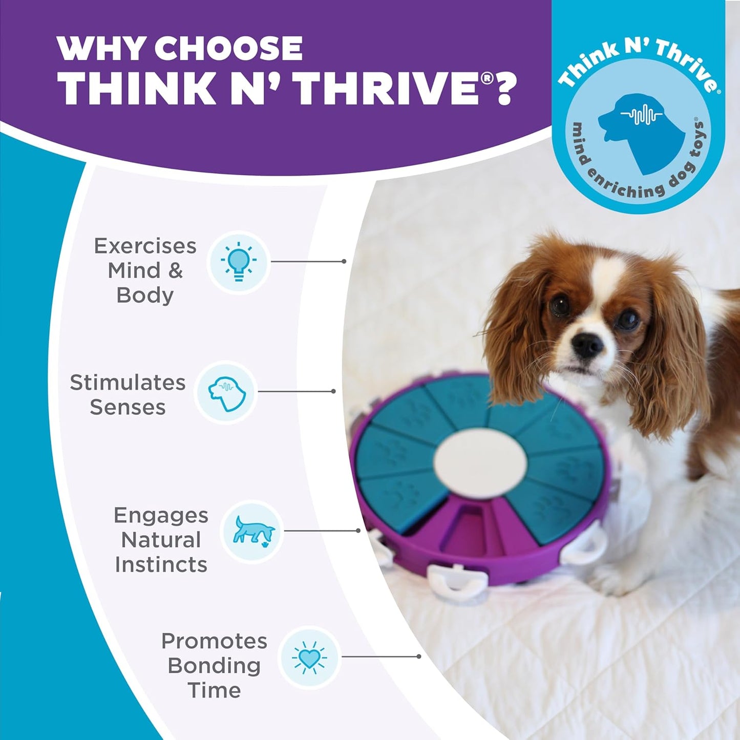 Outward Hound Nina Ottosson dog twister purple 1st