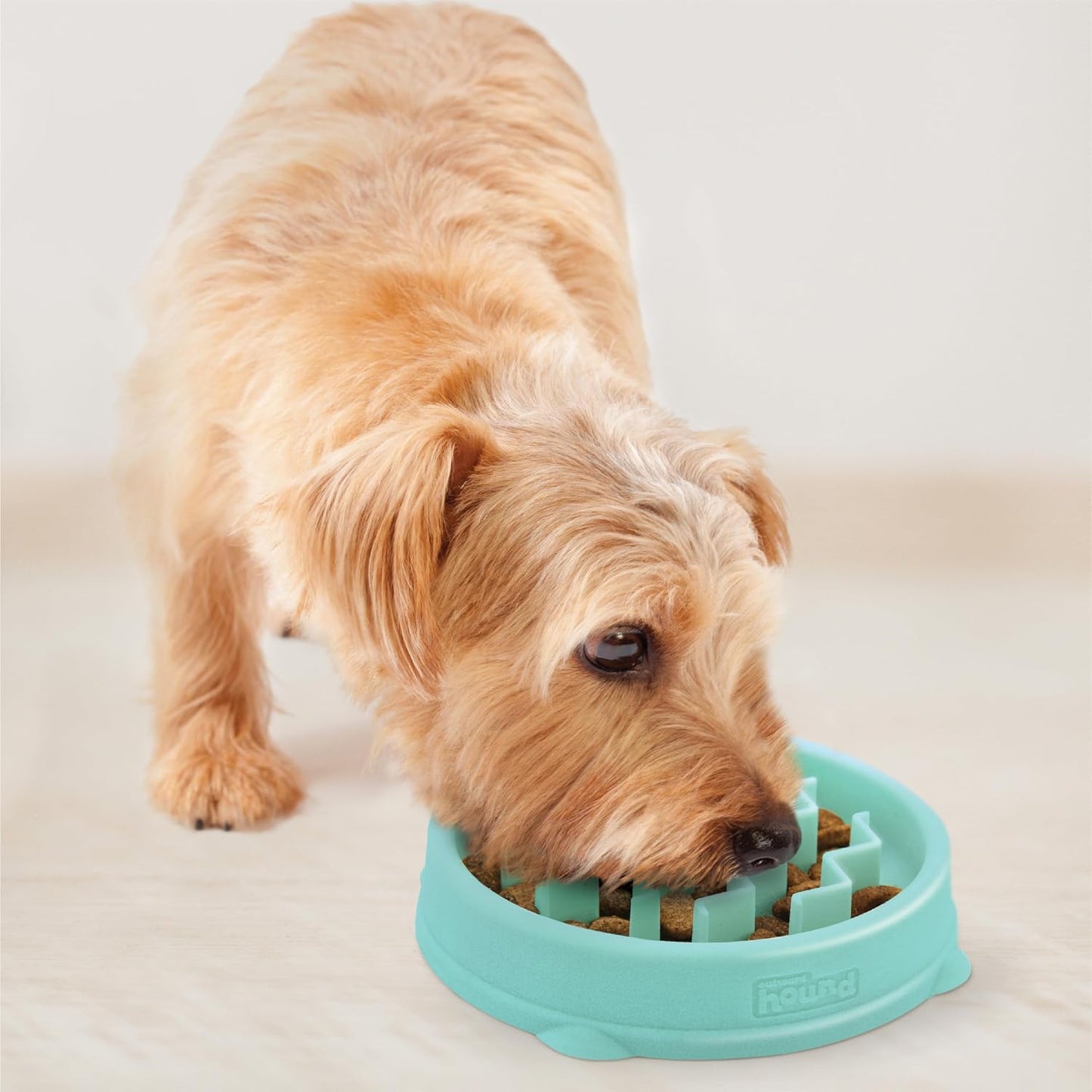 Outward Hound dog fun feeder wave mint small 1st