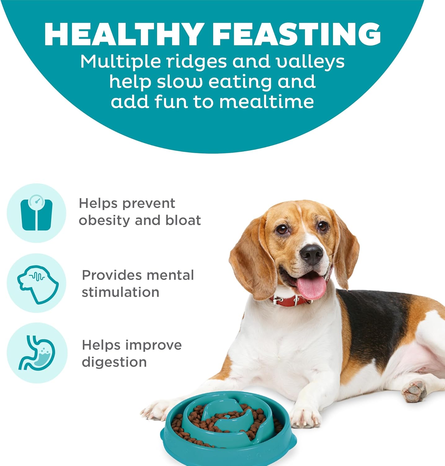 Outward Hound dog fun feeder drop turquoise large 1st