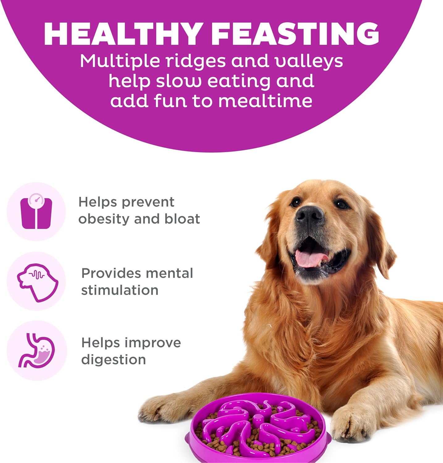 Outward Hound dog fun feeder flower purple medium 1st