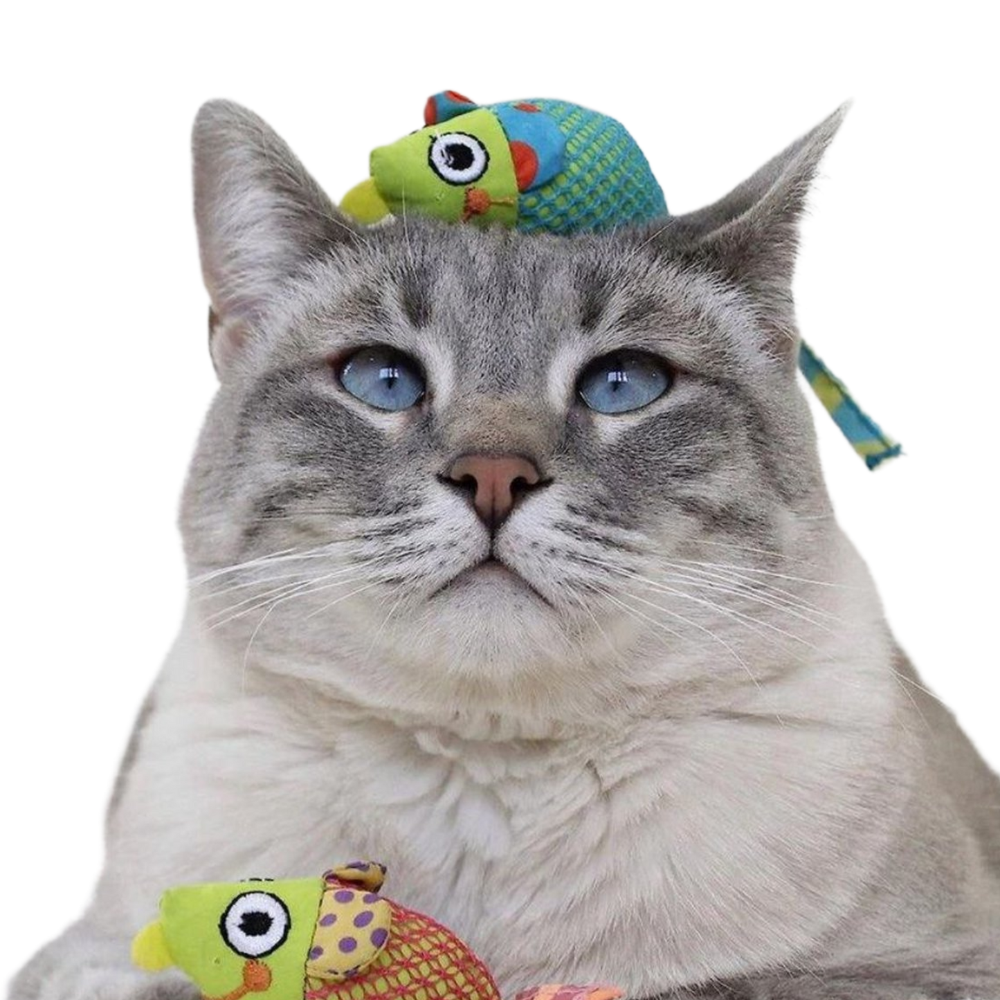 Petstages cat catnip chew mice multi 1st