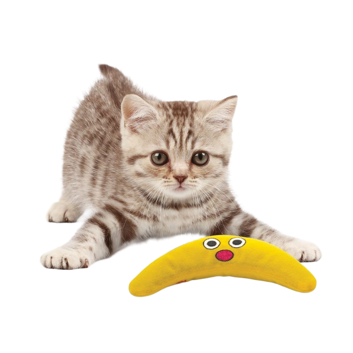 Petstages cat green magic boomerang buddy yellow 1st