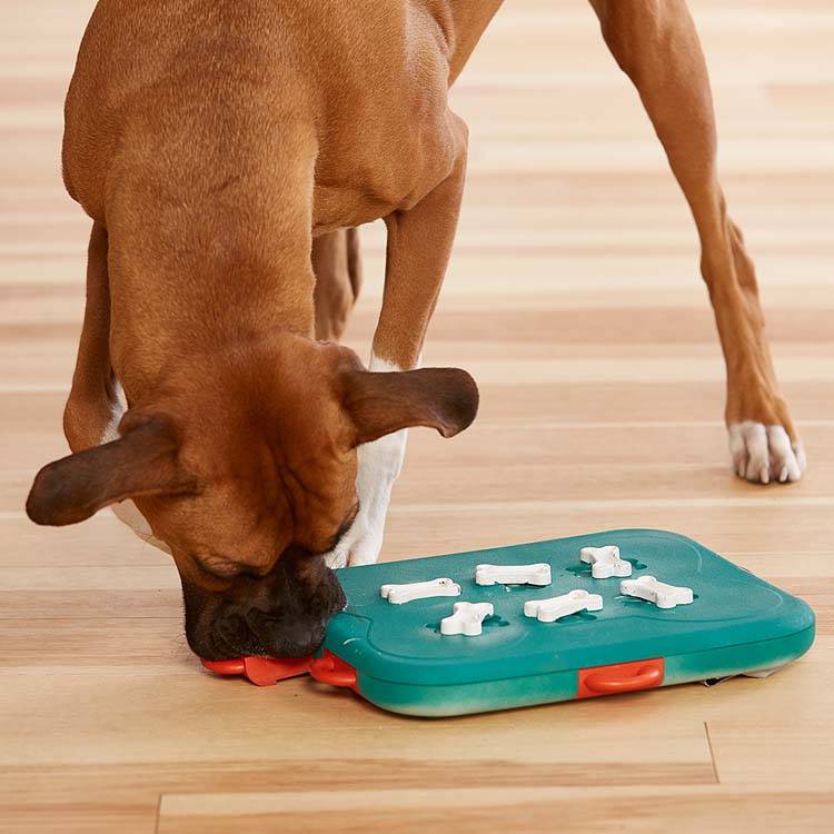 Outward Hound Nina Ottosson dog casino turquoise 1st