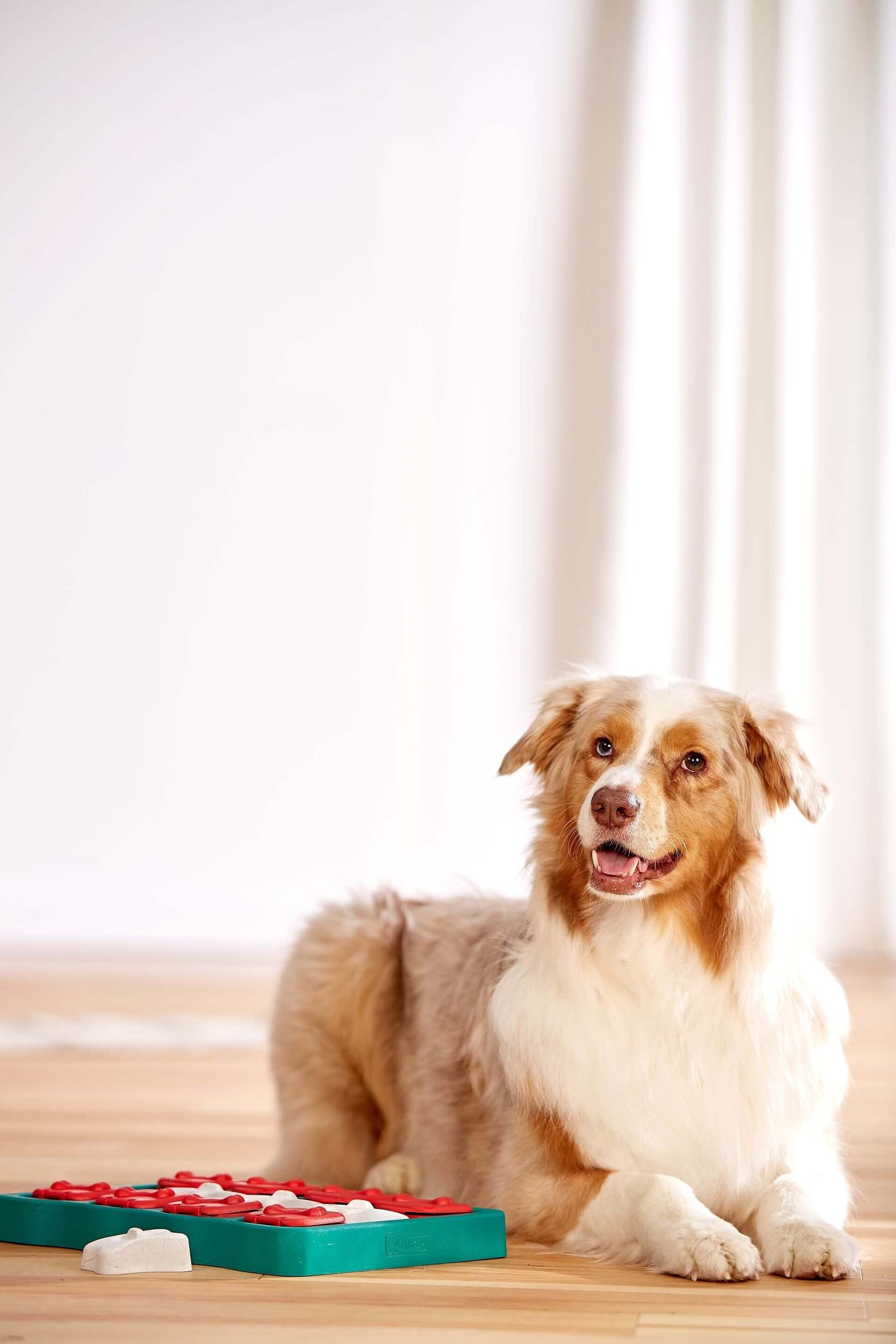 Outward Hound Nina Ottosson dog brick blue 1st
