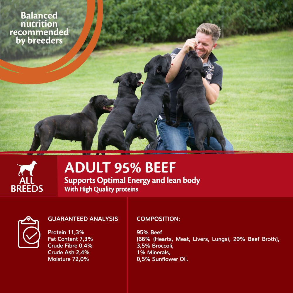 Wellness CORE can dog 95% single protein beef 400gr