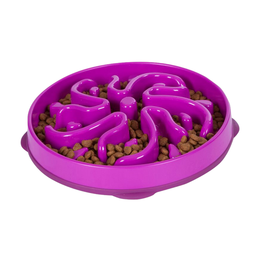 Outward Hound dog fun feeder flower purple large 1st