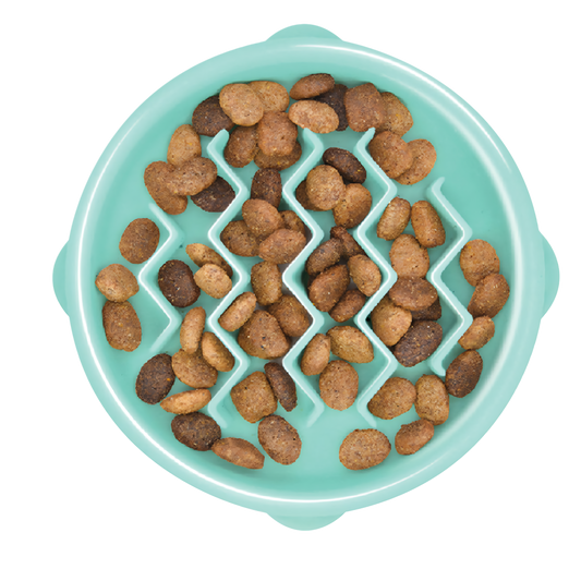 Outward Hound dog fun feeder wave mint small 1st